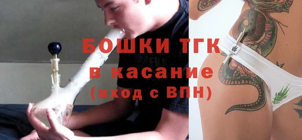 мдпв Новозыбков