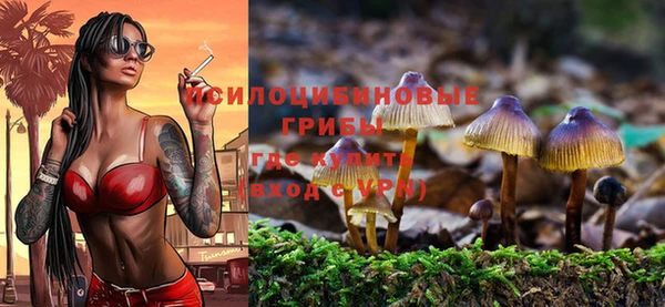 ешки Ветлуга