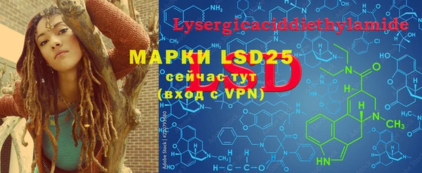 мдпв Новозыбков