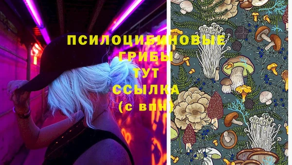 марки nbome Нефтекумск