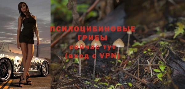 кристаллы Нея