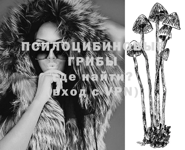 мдпв Новозыбков